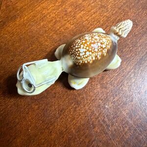 Seashell Turtle Miniature Wearing Glasses Figurine Real Shell